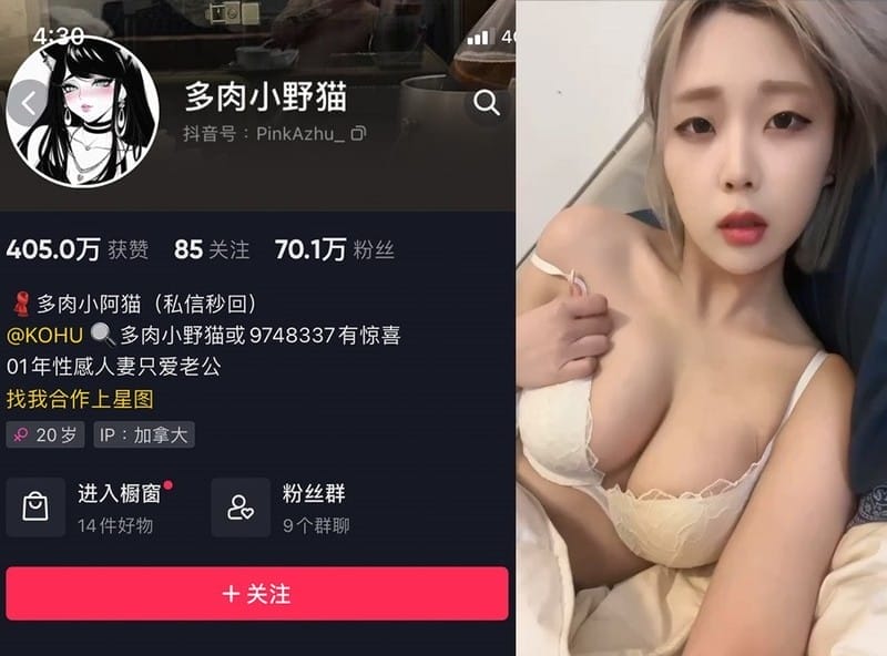 多肉小野猫 – 微密圈写真&视频合集【持续更新中】-1 多肉小野猫 – 微密圈写真&视频合集【持续更新中】